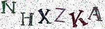 NHXZKA