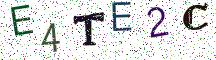 E4TE2C