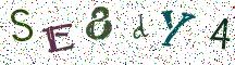 SE8dY4