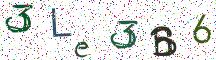 3Le3B6