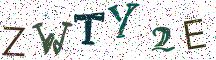 ZWTY2E