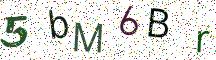 5bM6Br