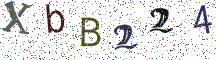 XbB224