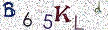B65KLd