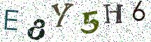E8Y5H6