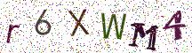 r6XWM4