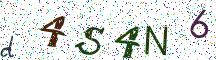 d4S4N6