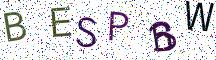BESPBW