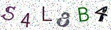 S4L8B4