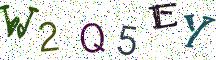 W2Q5EY