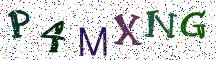 P4MXNG