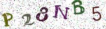 P28NB5