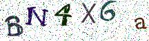 BN4X6a