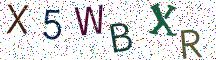 X5WBXR
