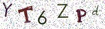 YT6ZPd