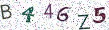 B446Z5