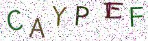 CAYPEF