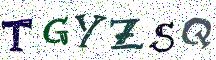 TGYZSQ
