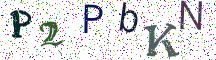 P2PbKN