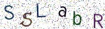 SSLabR
