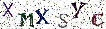 XMXSYC