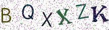 BQXXZK