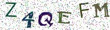 Z4QEFM
