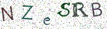 NZeSRB