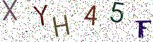 XYH45F
