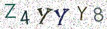 Z4YYY8