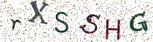 rXSSHG