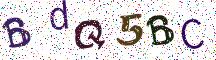 BdQ5BC
