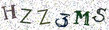 HZZ3MS