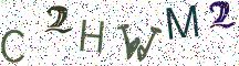 C2HWM2