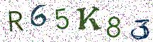 R65K83