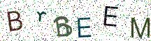 BrBEEM