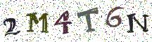 2M4T6N