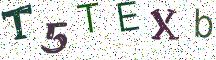 T5TEXb