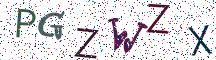 PGZWZX