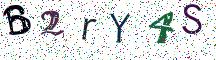 B2rY4S