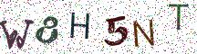 W8H5NT