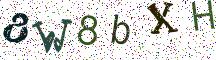 8W8bXH