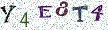 Y4E8T4