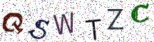 QSWTZC