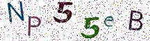 NP55eB