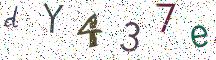 dY437e