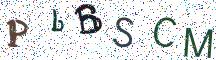 PbBSCM
