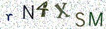 rN4XSM