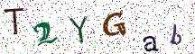 T2YGab