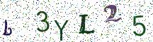 b3YL25